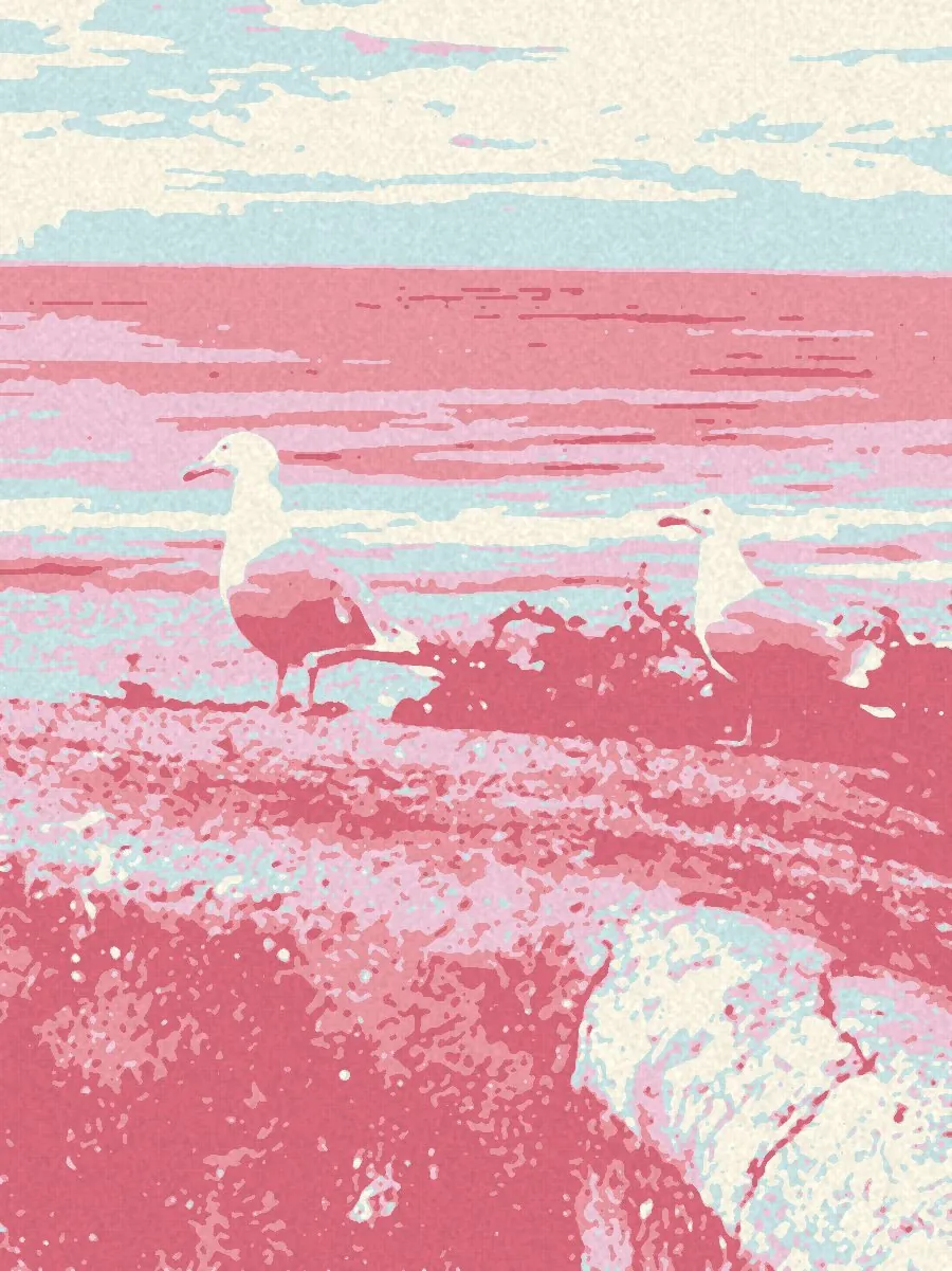 Opera in rosa e celeste: due gabbiani su un muretto davanti al mare